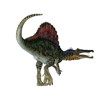 スピノサウルス [肉食恐竜]