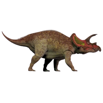 トリケラトプス [草食恐竜]